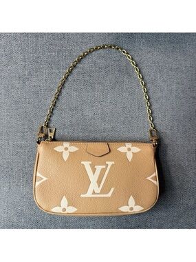 Louis Vuitton pochette accessoires bicolor arizona beige
